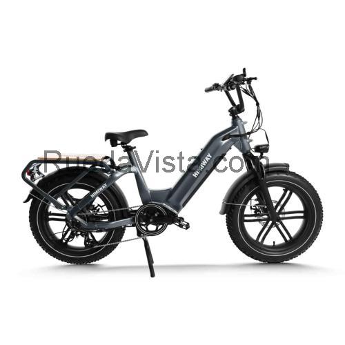 Himiway Big Dog ficha técnica y opiniones